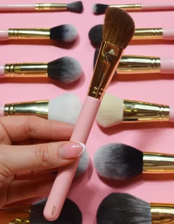 P. Louise P.Louise #637 Brush Online
