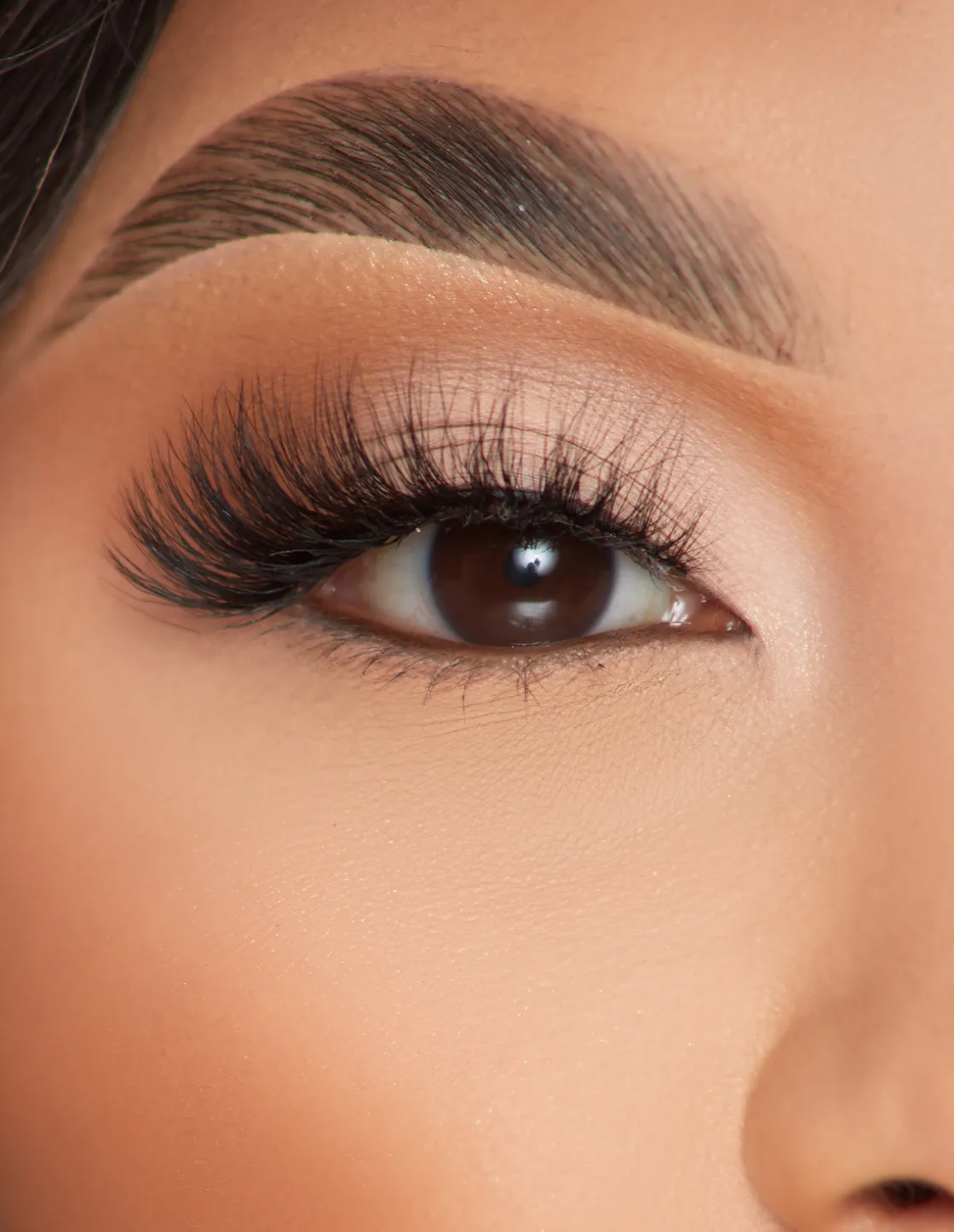 P. Louise P.Louise Lashes - Alluring Affair Best Sale