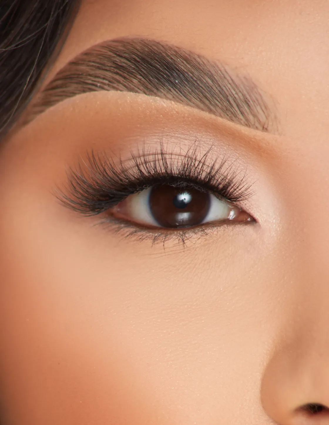 P. Louise P.Louise Lashes - Beaming Bliss Discount