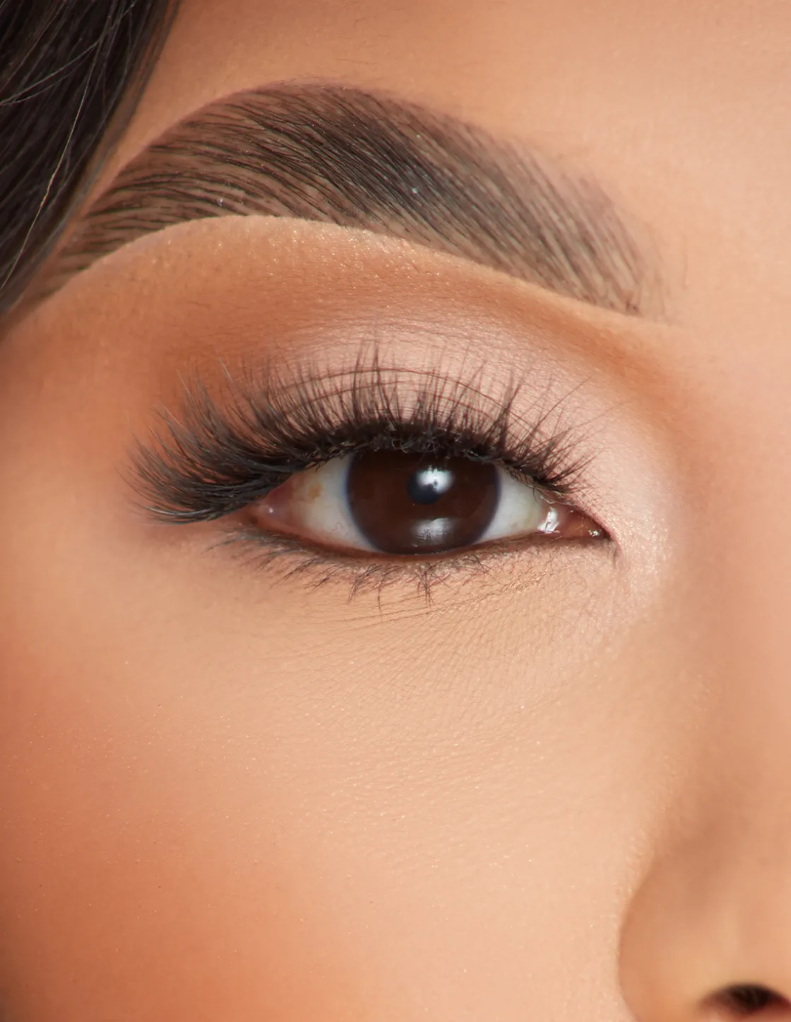 P. Louise P.Louise Lashes - Bouquet Breeze Sale