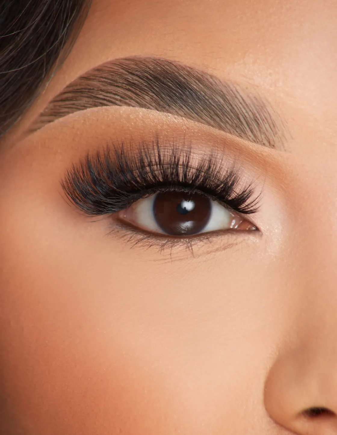 P. Louise P.Louise Lashes - Lashed In Love Cheap