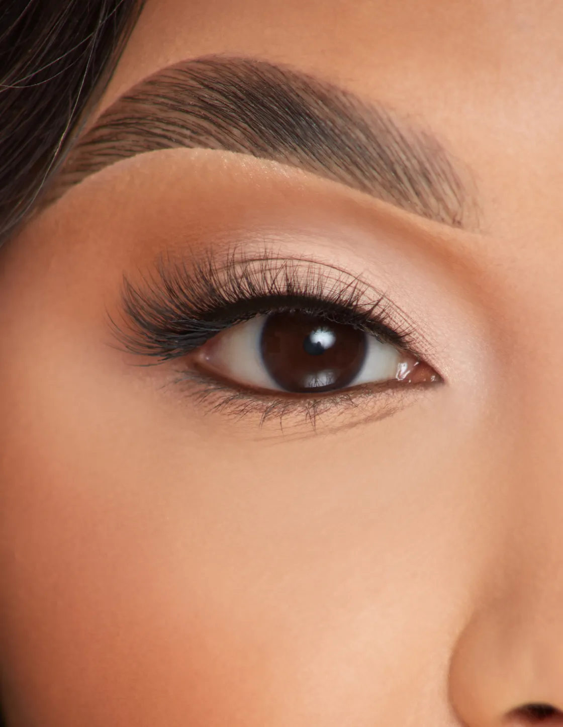 P. Louise P.Louise Lashes - Lasting Lust Online