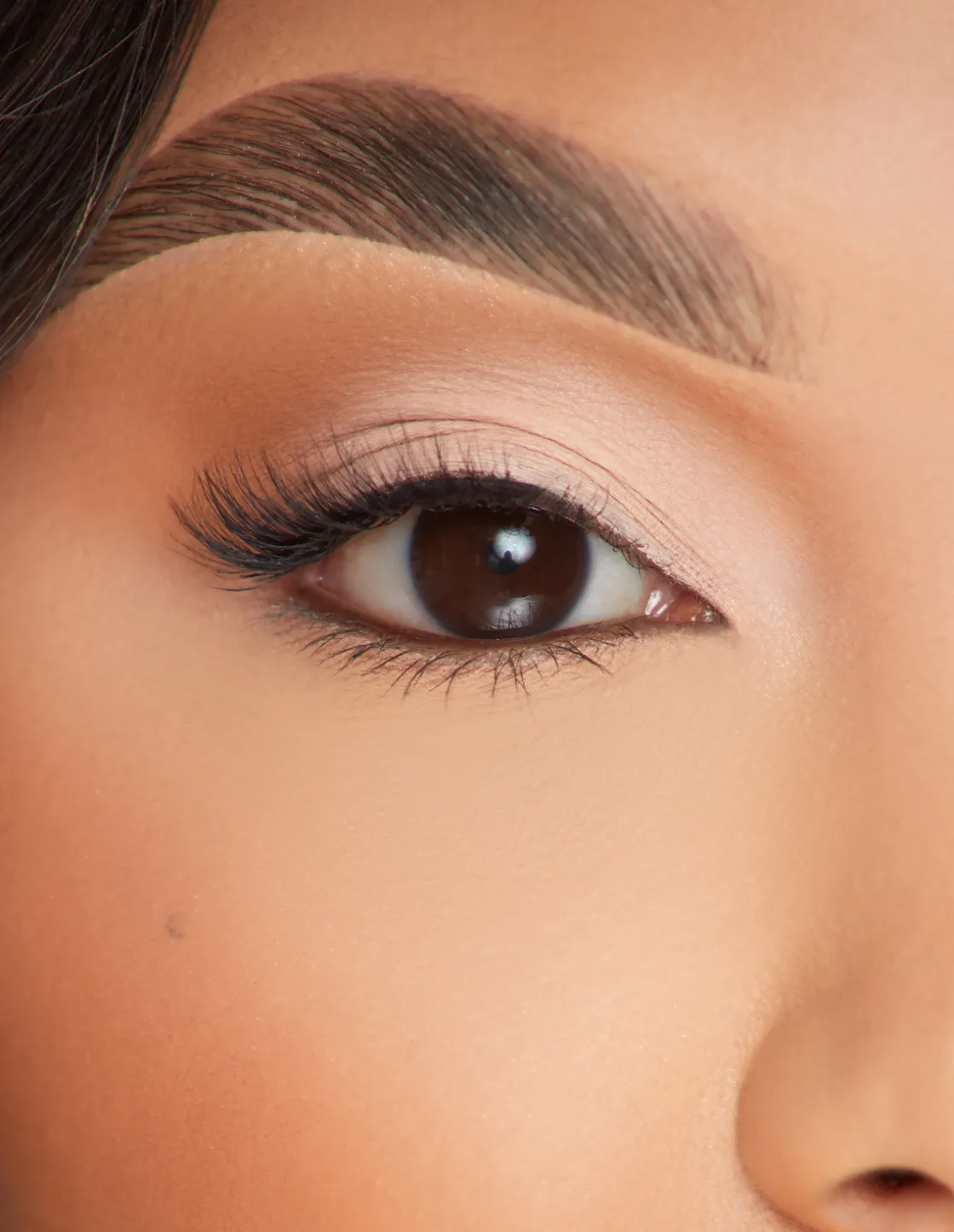 P. Louise P.Louise Lashes - Marriage Material Clearance