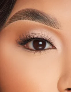 P. Louise P.Louise Lashes - So Graceful Discount