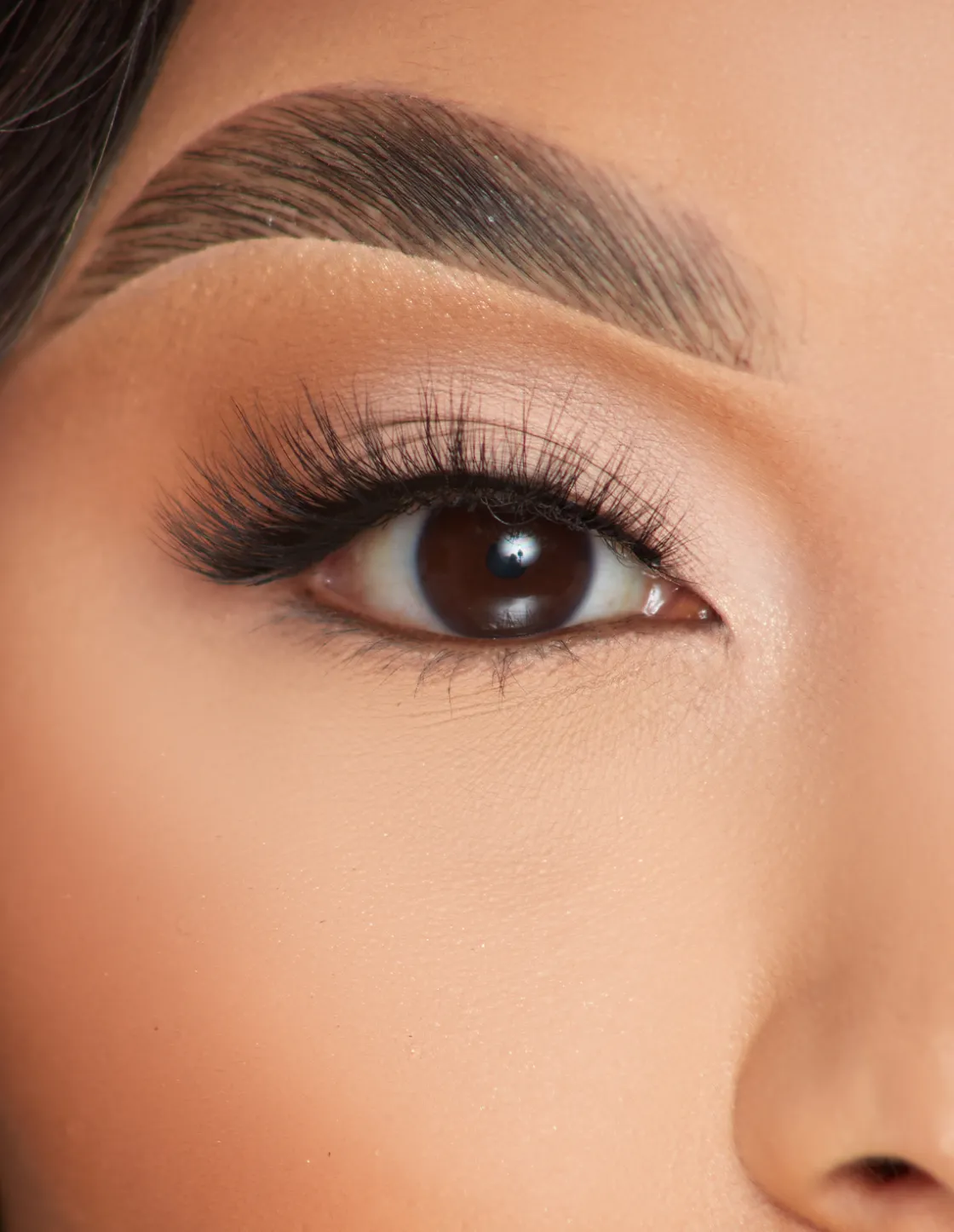 P. Louise P.Louise Lashes - Taste Of Tease Flash Sale